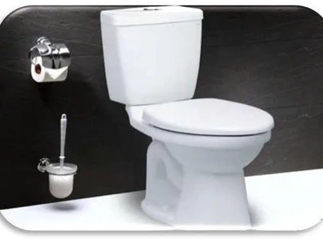 Bồn cầu 2 khối